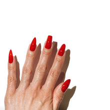 Load image into Gallery viewer, Sizing Kits